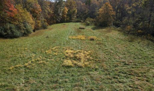 Photo #23 of SOLD property in Off Hardin Reynolds Rd, Critz, VA 39.8 acres
