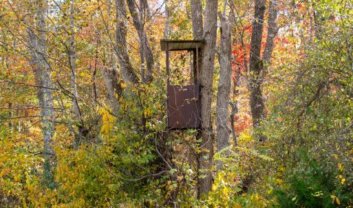 Photo #24 of SOLD property in Off Hardin Reynolds Rd, Critz, VA 39.8 acres