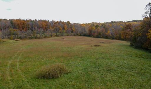 Photo #29 of SOLD property in Off Hardin Reynolds Rd, Critz, VA 39.8 acres