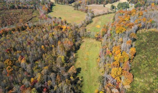 Photo #8 of SOLD property in Off Hardin Reynolds Rd, Critz, VA 39.8 acres