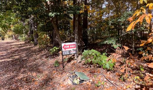 Photo #2 of Off Sarah Street , Bowling Green, VA 4.9 acres