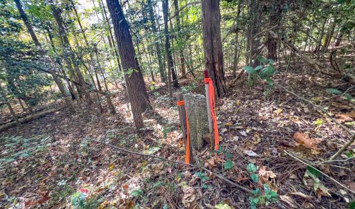 Photo #5 of Off Sarah Street , Bowling Green, VA 4.9 acres