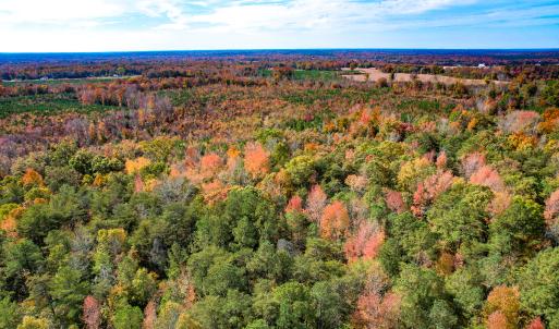 Photo #6 of Off Sarah Street , Bowling Green, VA 4.9 acres