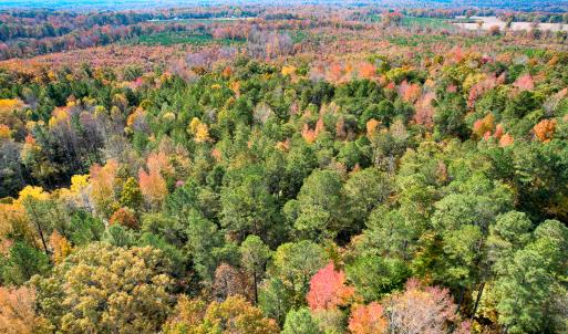 Photo #8 of Off Sarah Street , Bowling Green, VA 4.9 acres