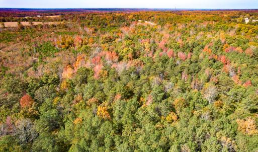 Photo #10 of Off Sarah Street , Bowling Green, VA 4.9 acres