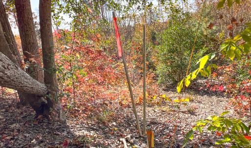 Photo #12 of Off Sarah Street , Bowling Green, VA 4.9 acres