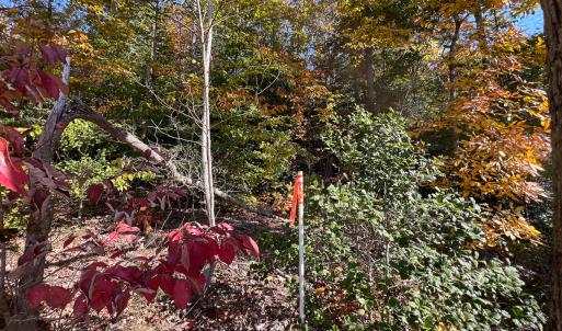 Photo #19 of Off Sarah Street , Bowling Green, VA 4.9 acres