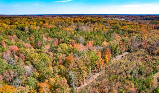 Photo #20 of Off Sarah Street , Bowling Green, VA 4.9 acres