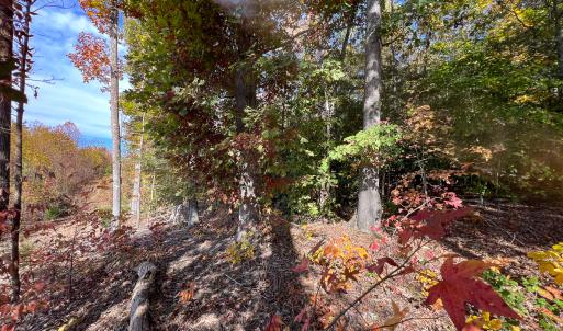 Photo #22 of Off Sarah Street , Bowling Green, VA 4.9 acres