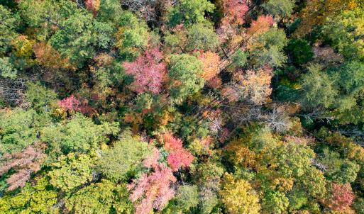 Photo #24 of Off Sarah Street , Bowling Green, VA 4.9 acres