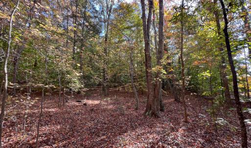Photo #25 of Off Sarah Street , Bowling Green, VA 4.9 acres