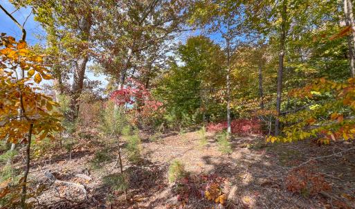 Photo #27 of Off Sarah Street , Bowling Green, VA 4.9 acres