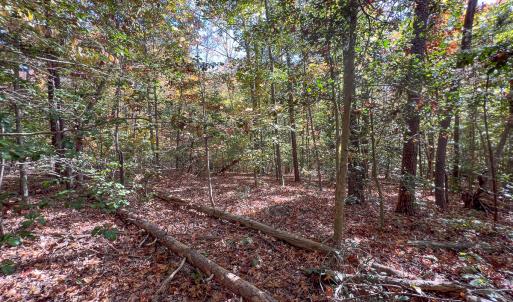 Photo #29 of Off Sarah Street , Bowling Green, VA 4.9 acres