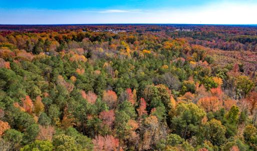 Photo #30 of Off Sarah Street , Bowling Green, VA 4.9 acres