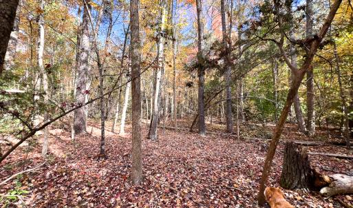 Photo #32 of Off Sarah Street , Bowling Green, VA 4.9 acres