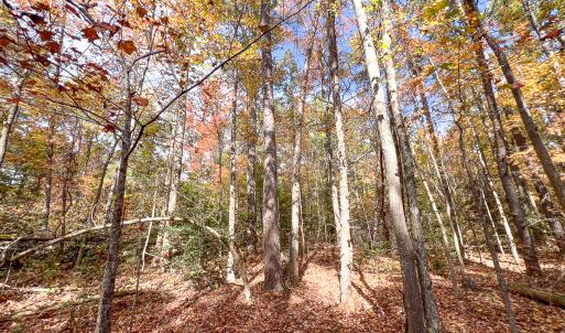 Photo #34 of Off Sarah Street , Bowling Green, VA 4.9 acres