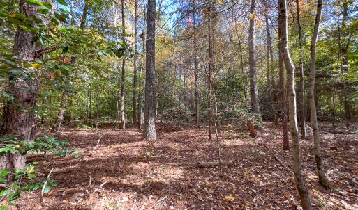 Photo #35 of Off Sarah Street , Bowling Green, VA 4.9 acres