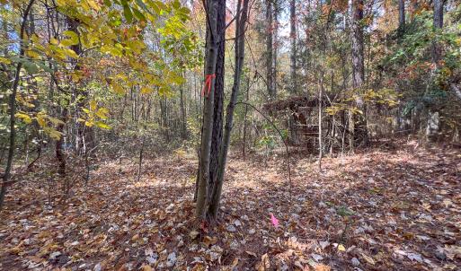 Photo #38 of Off Sarah Street , Bowling Green, VA 4.9 acres