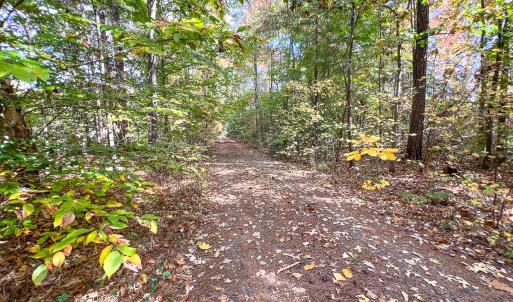 Photo #39 of Off Sarah Street , Bowling Green, VA 4.9 acres