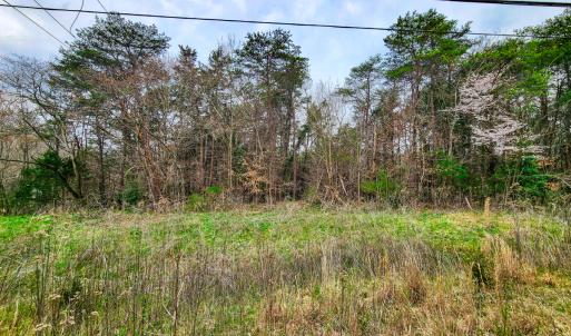 Photo #10 of Off Ebert Rd , Winston Salem, NC 8.8 acres