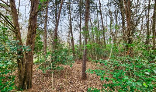 Photo #13 of Off Ebert Rd , Winston Salem, NC 8.8 acres