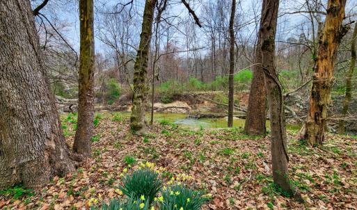 Photo #15 of Off Ebert Rd , Winston Salem, NC 8.8 acres