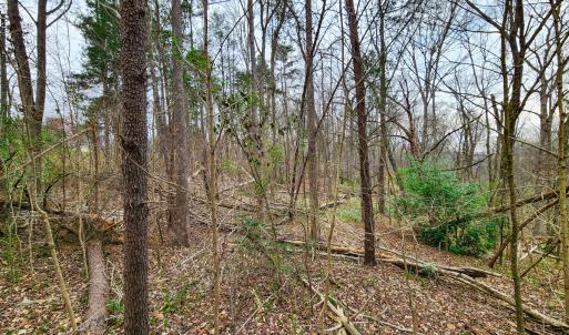 Photo #18 of Off Ebert Rd , Winston Salem, NC 8.8 acres