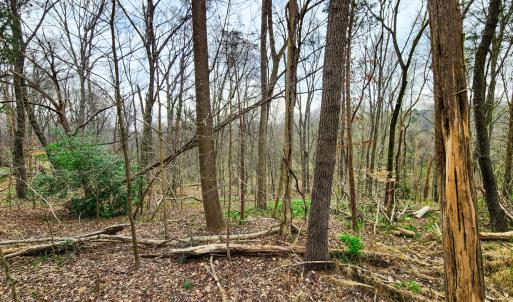 Photo #19 of Off Ebert Rd , Winston Salem, NC 8.8 acres
