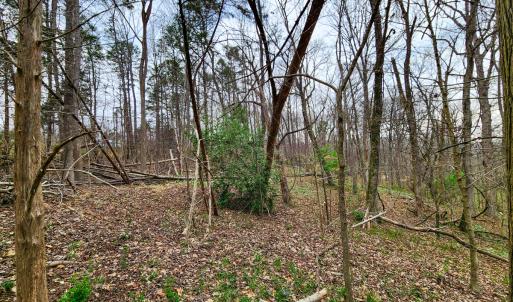 Photo #20 of Off Ebert Rd , Winston Salem, NC 8.8 acres