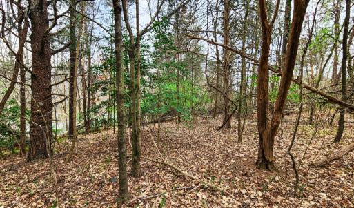 Photo #5 of Off Ebert Rd , Winston Salem, NC 8.8 acres