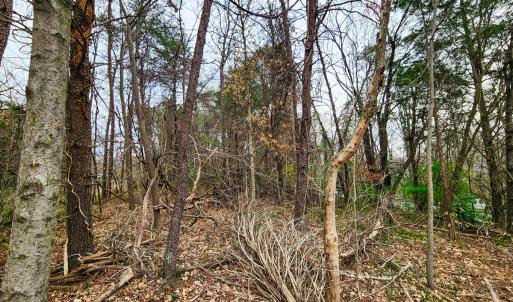 Photo #9 of Off Ebert Rd , Winston Salem, NC 8.8 acres