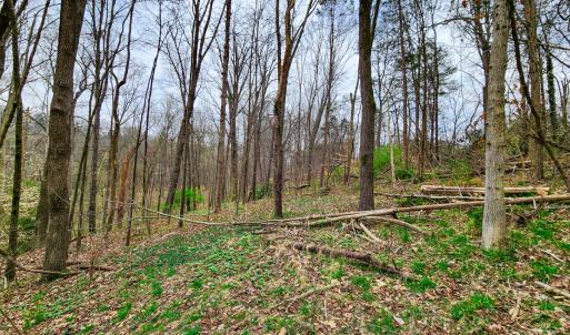 Photo #21 of Off Ebert Rd , Winston Salem, NC 8.8 acres