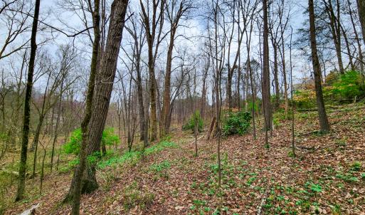 Photo #22 of Off Ebert Rd , Winston Salem, NC 8.8 acres