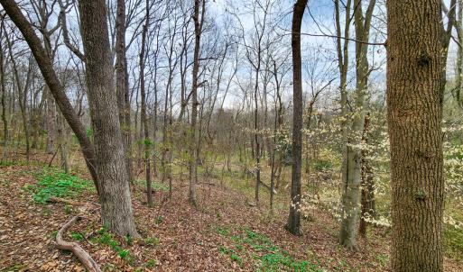 Photo #23 of Off Ebert Rd , Winston Salem, NC 8.8 acres