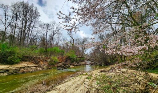 Photo #31 of Off Ebert Rd , Winston Salem, NC 8.8 acres
