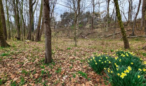 Photo #33 of Off Ebert Rd , Winston Salem, NC 8.8 acres