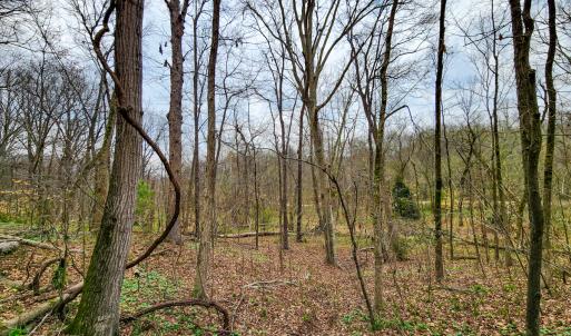 Photo #34 of Off Ebert Rd , Winston Salem, NC 8.8 acres
