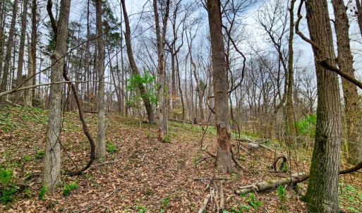 Photo #35 of Off Ebert Rd , Winston Salem, NC 8.8 acres