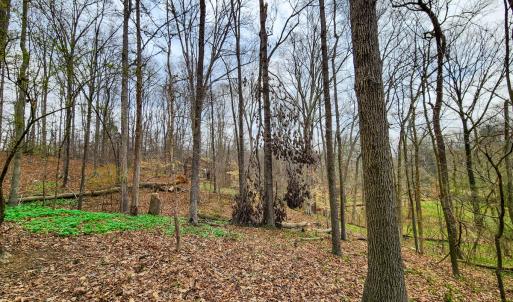 Photo #37 of Off Ebert Rd , Winston Salem, NC 8.8 acres