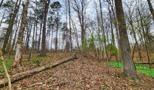 Photo #38 of Off Ebert Rd , Winston Salem, NC 8.8 acres