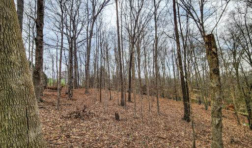 Photo #39 of Off Ebert Rd , Winston Salem, NC 8.8 acres