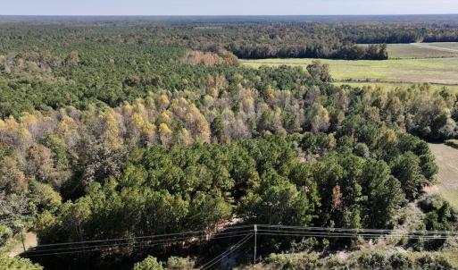 Photo #2 of SOLD property in Off Veaches Mill Road, Warsaw, NC 16.7 acres