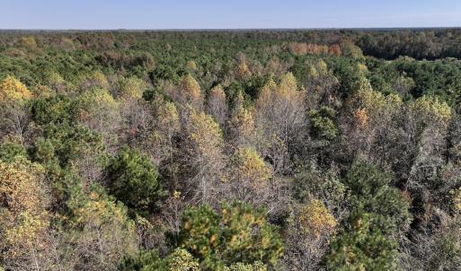 Photo #12 of SOLD property in Off Veaches Mill Road, Warsaw, NC 16.7 acres