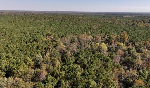 Photo #13 of SOLD property in Off Veaches Mill Road, Warsaw, NC 16.7 acres