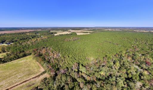 Photo #16 of SOLD property in Off Veaches Mill Road, Warsaw, NC 16.7 acres