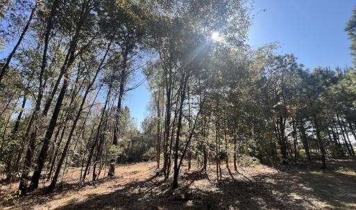 Photo #17 of SOLD property in Off Veaches Mill Road, Warsaw, NC 16.7 acres