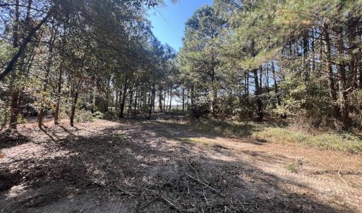 Photo #18 of SOLD property in Off Veaches Mill Road, Warsaw, NC 16.7 acres