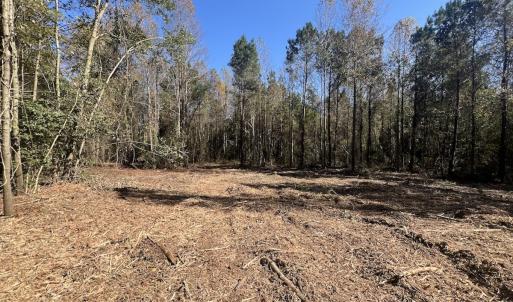 Photo #19 of SOLD property in Off Veaches Mill Road, Warsaw, NC 16.7 acres
