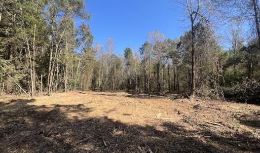 Photo #20 of SOLD property in Off Veaches Mill Road, Warsaw, NC 16.7 acres