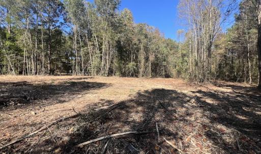 Photo #21 of SOLD property in Off Veaches Mill Road, Warsaw, NC 16.7 acres